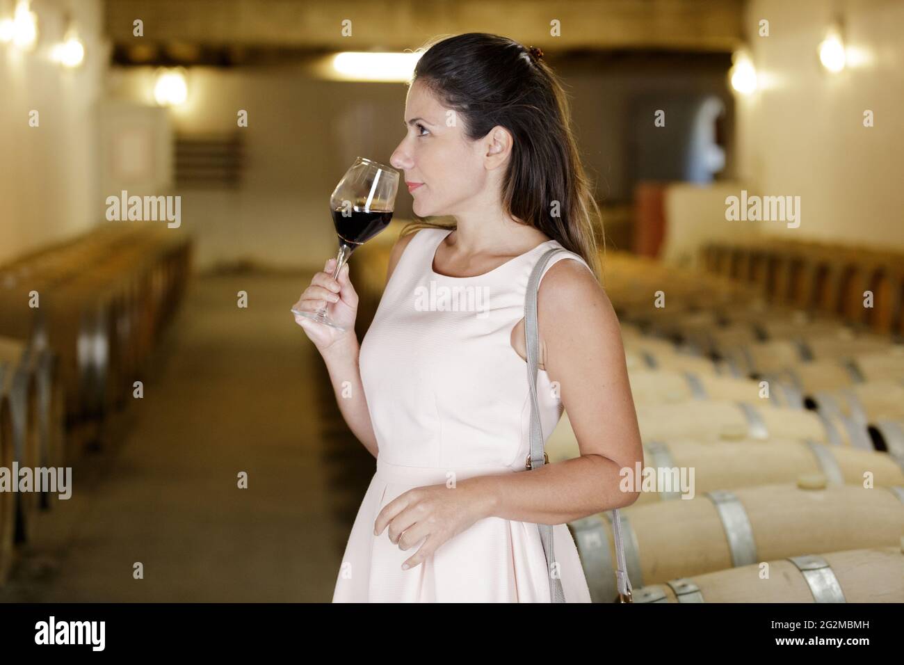 beautiful elegant woman in wine cellar Stock Photo Alamy