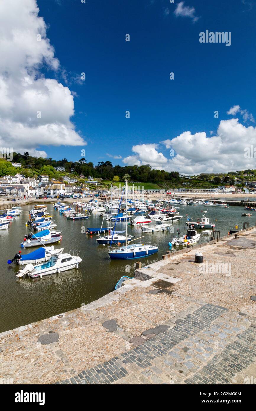 A mixture of colourful pleasure and fishing boats in the harbour at