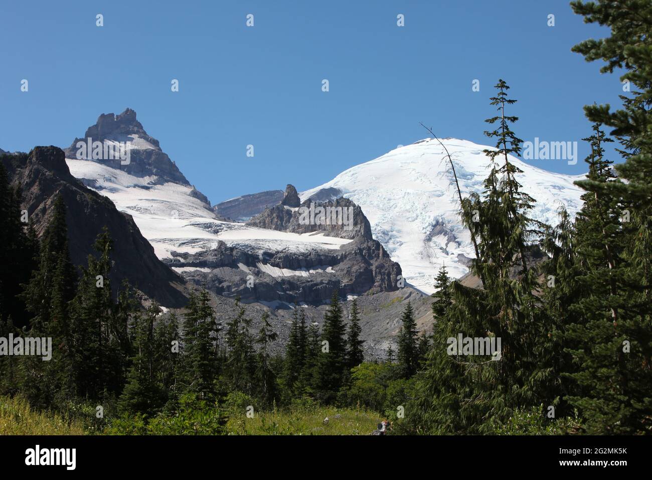 Mount Rainier Stock Photo