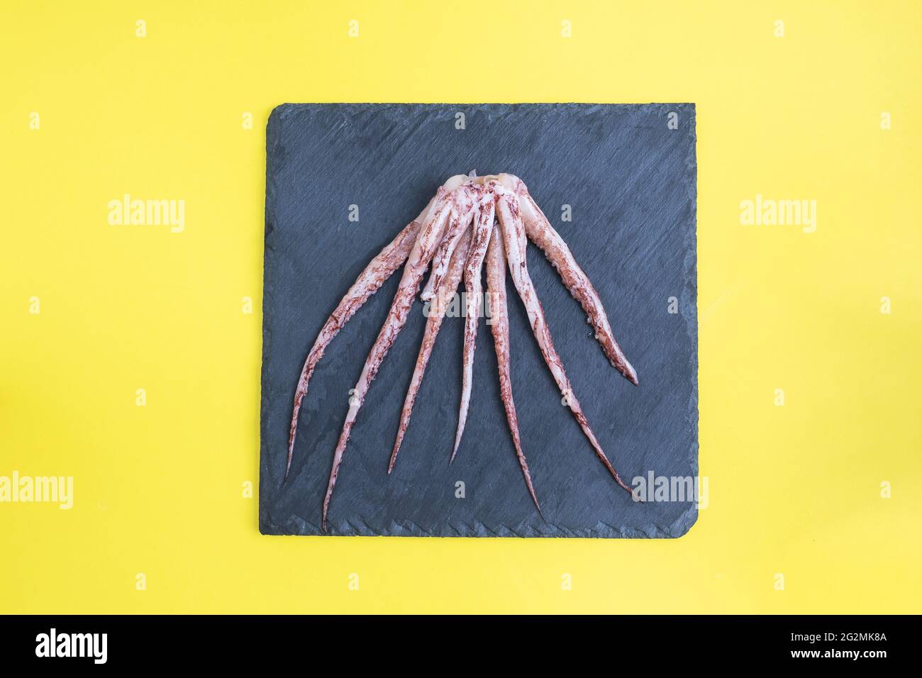 Raw squid tentacles on a black slate board. copy space Top view. Yellow background, Stock Photo