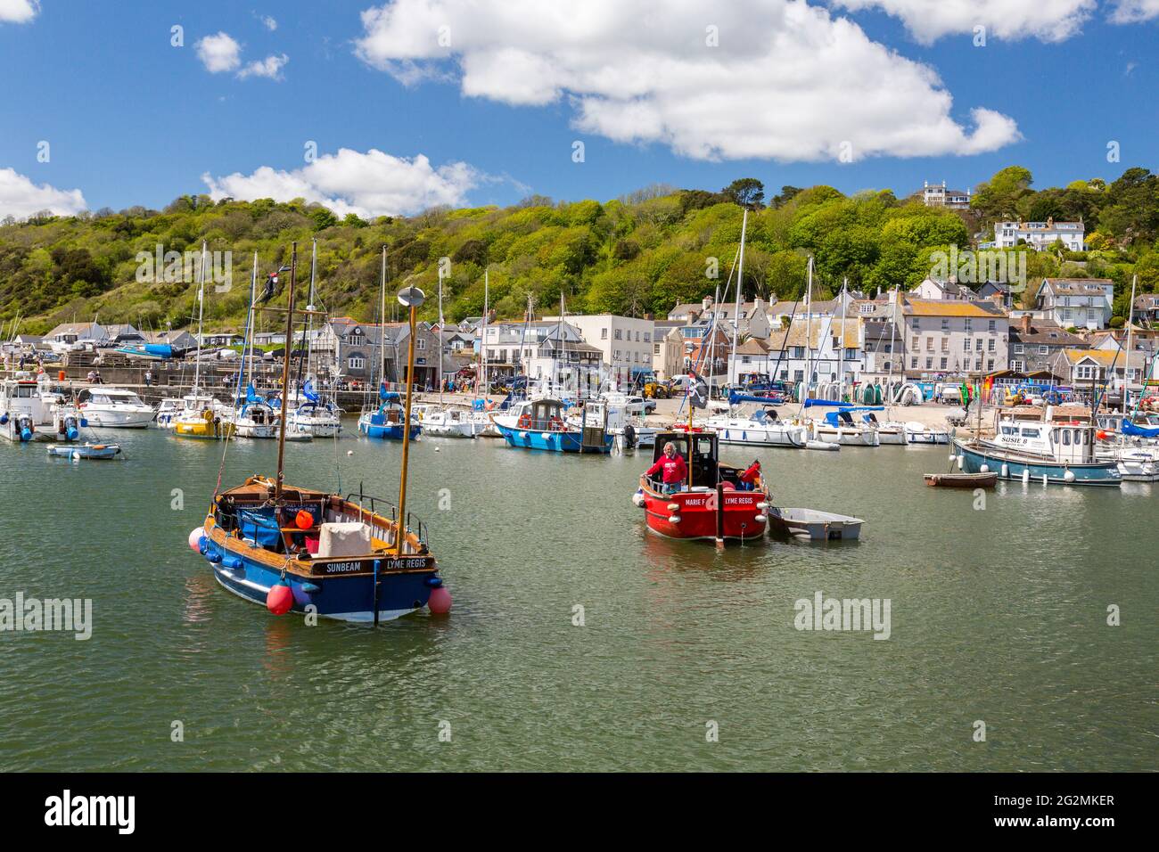 A mixture of colourful pleasure and fishing boats in the harbour at