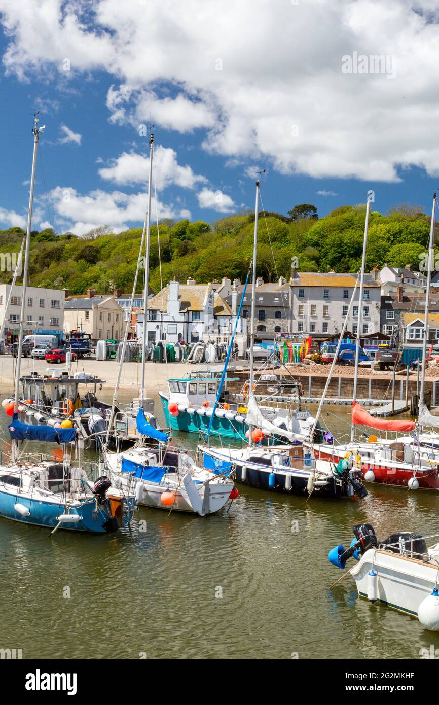 A mixture of colourful pleasure and fishing boats in the harbour at
