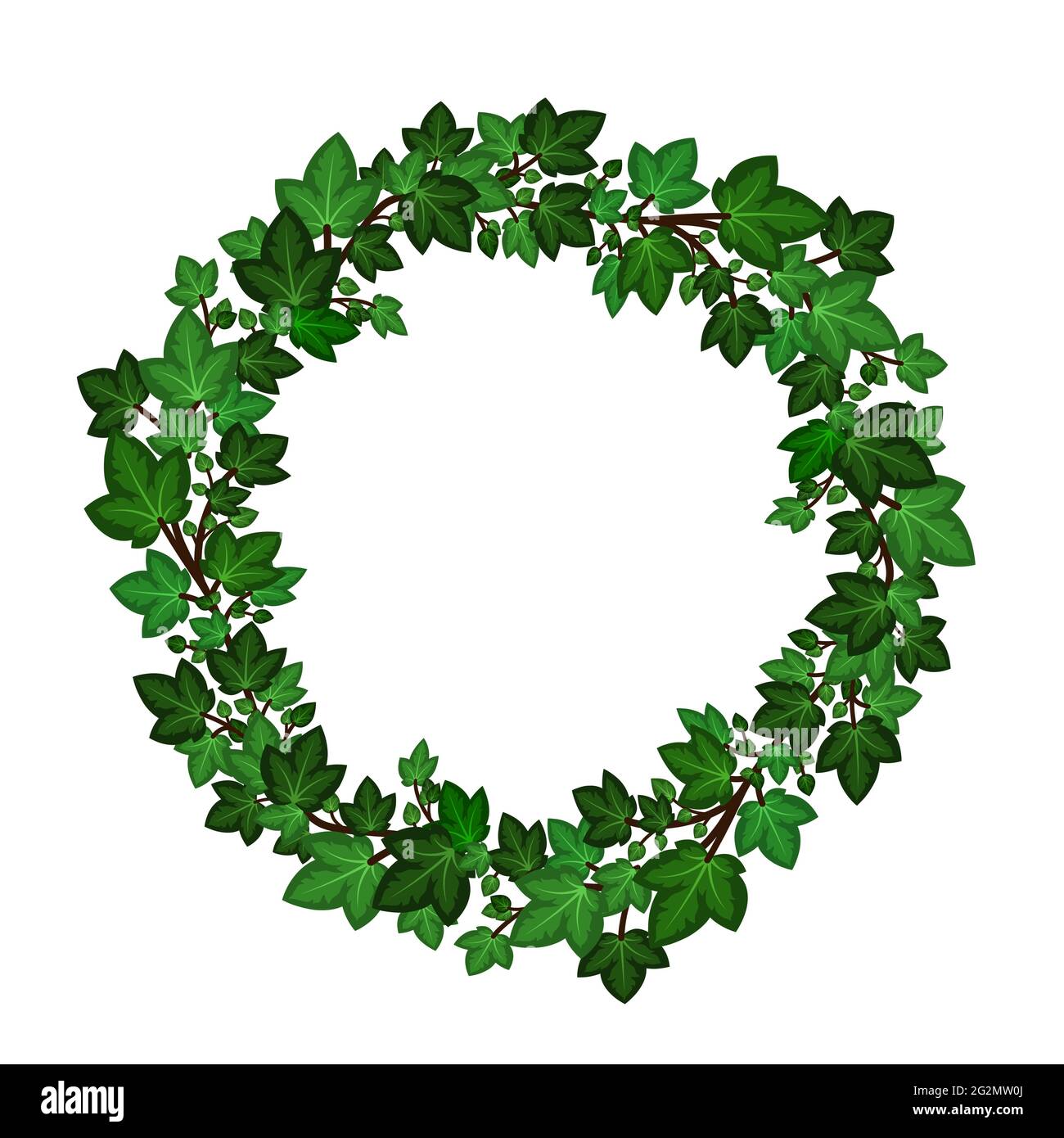 Ivy leaves wreath. Circular green ivy garland isolated on white background. Decorative frme border. Vector illustration Stock Vector