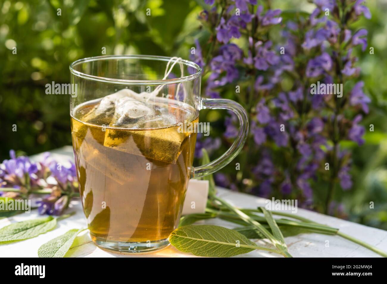 Sage blossoms and leaves on olive wood Stock Photo Alamy