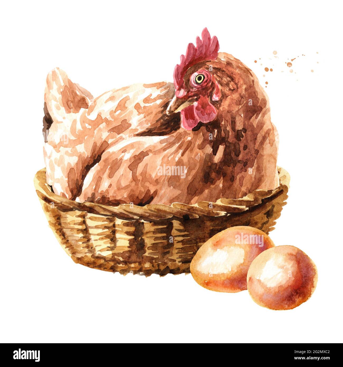 creative egg basket chicken hen hug