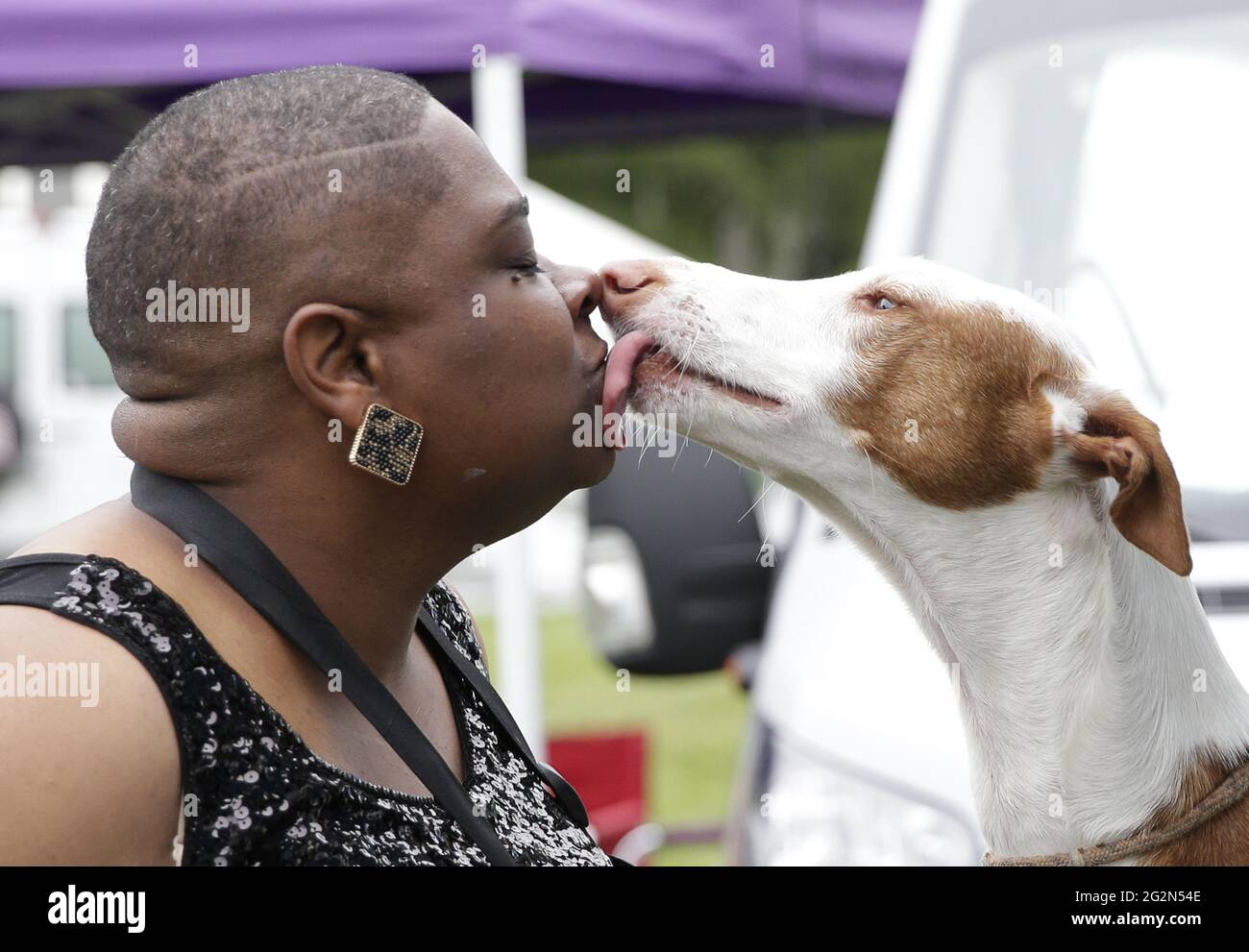 Akc hotsell dog show