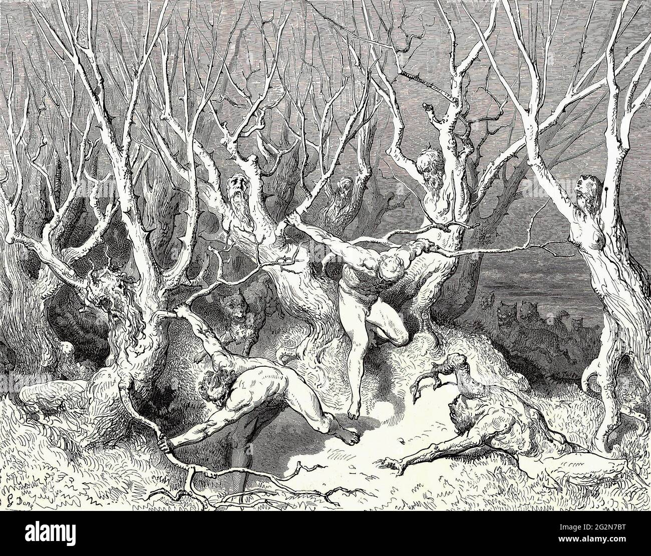 Gustave Doré -  Inferno Canto 13 1 Stock Photo
