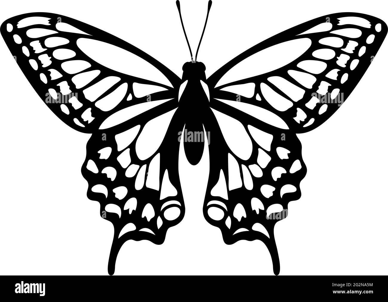 Butterfly Stencil Vector Illustration Stock Illustration