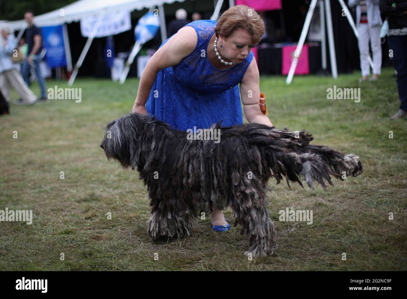 Tali, a Bergamasco dog from Italy, is attended by his handler Becky Pina  before judging at the 145th Westminster Kennel Club Dog Show at Lyndhurst  Mansion in Tarrytown, New York, U.S., June