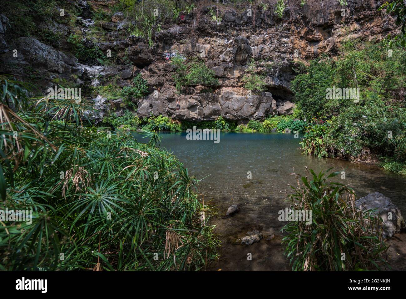 Wanderung Zum Bassin Des Aigrettes Stock Photo Alamy