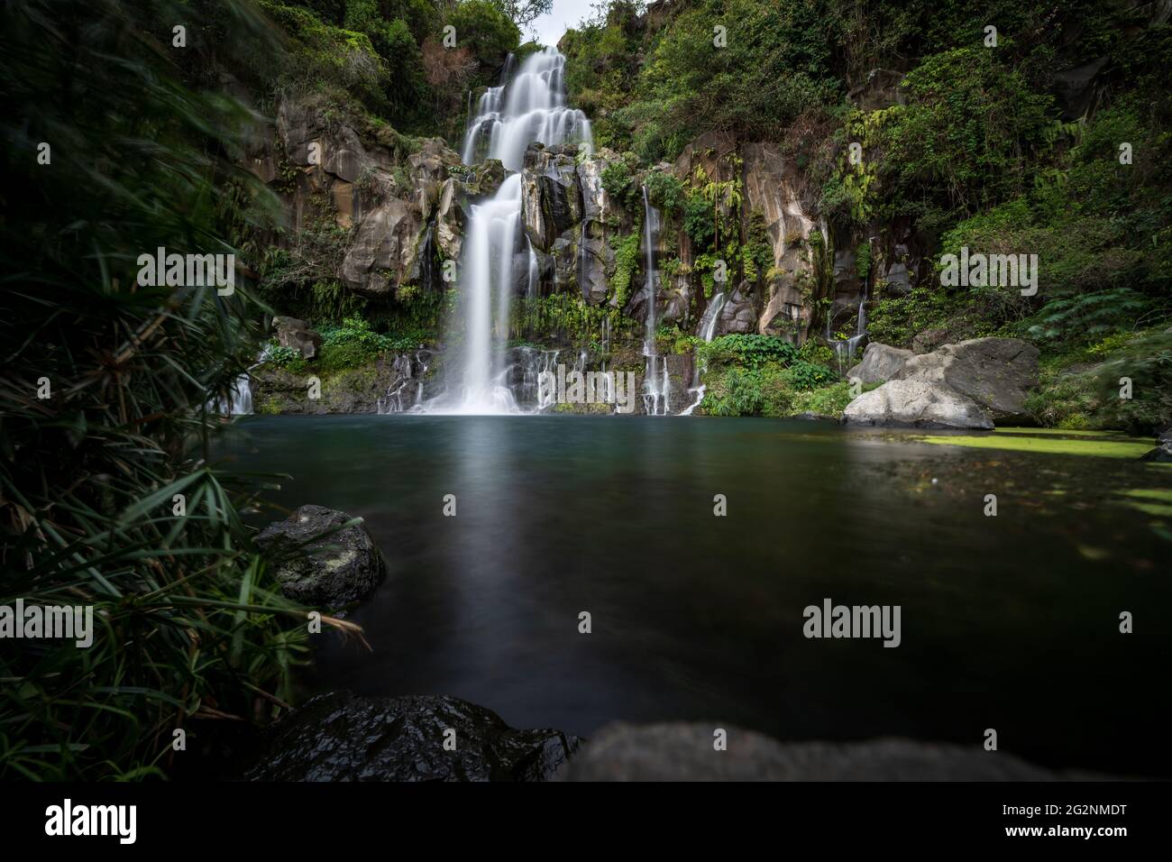 Wanderung Zum Bassin Des Aigrettes Stock Photo Alamy