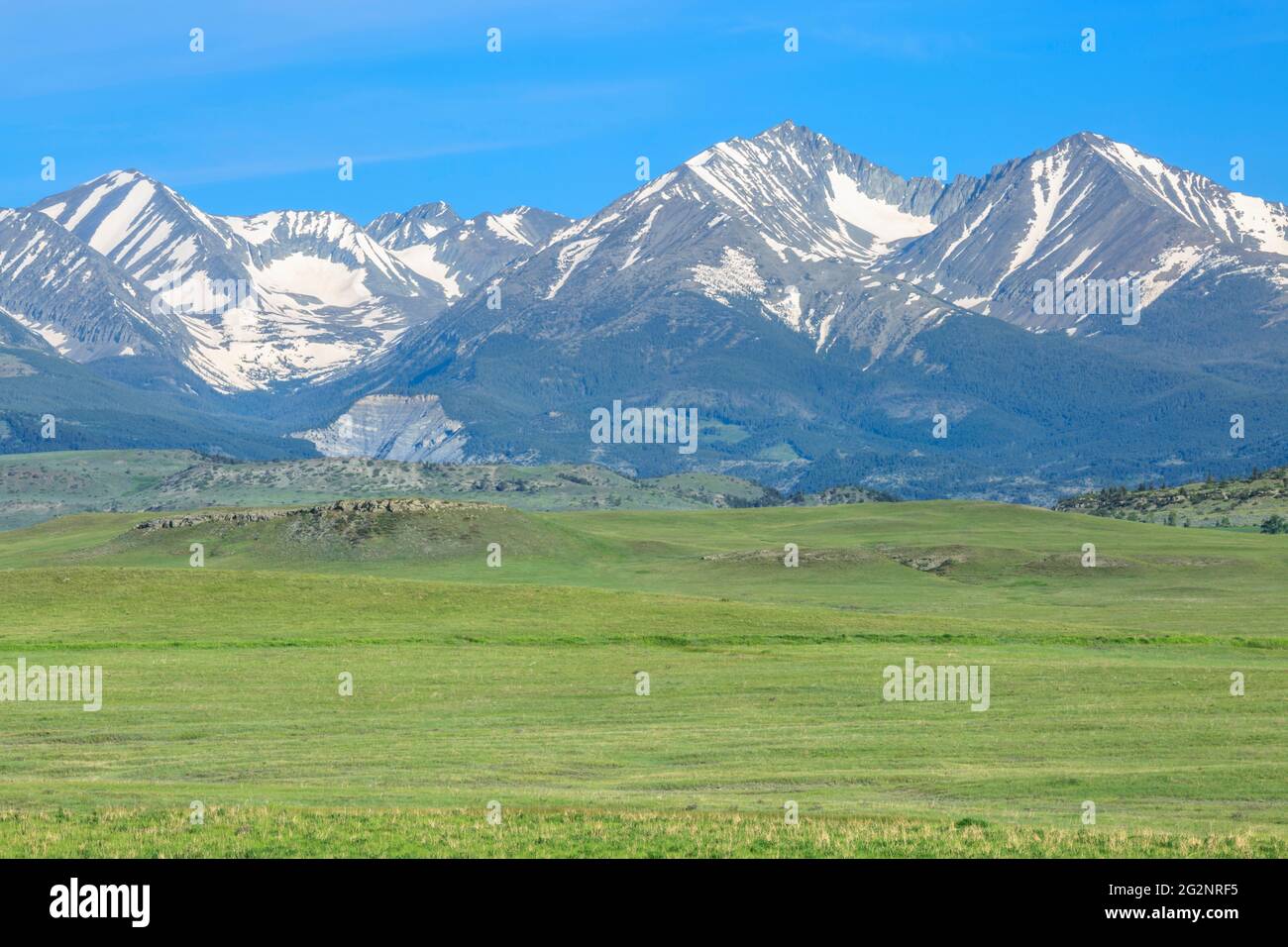 crazy mountains above prairie near big timber, montana Stock Photo Alamy