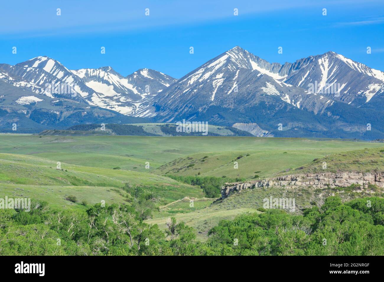 crazy mountains above prairie near big timber, montana Stock Photo Alamy