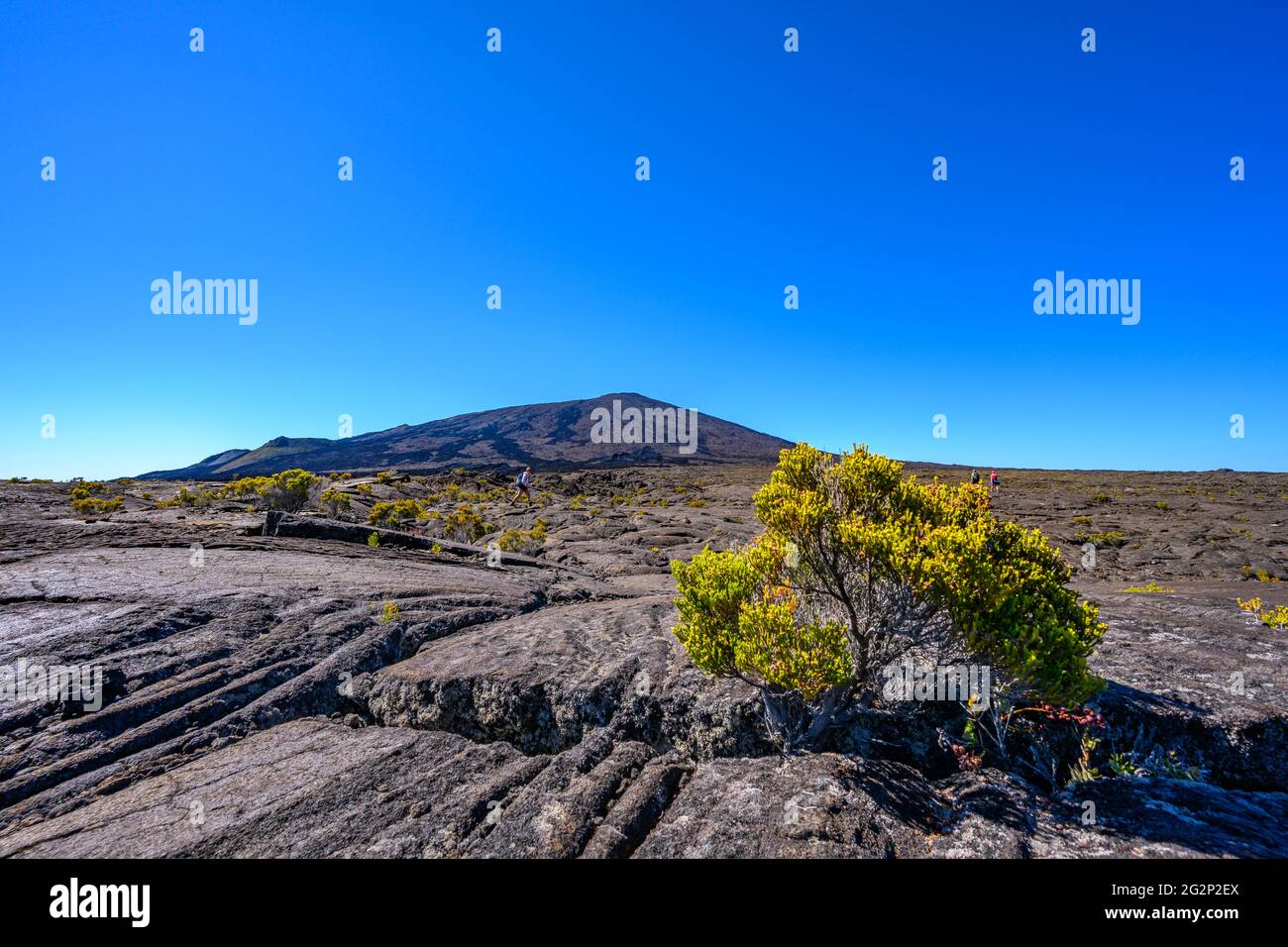 Hiking on Piton de la Fournaise Stock Photo Alamy