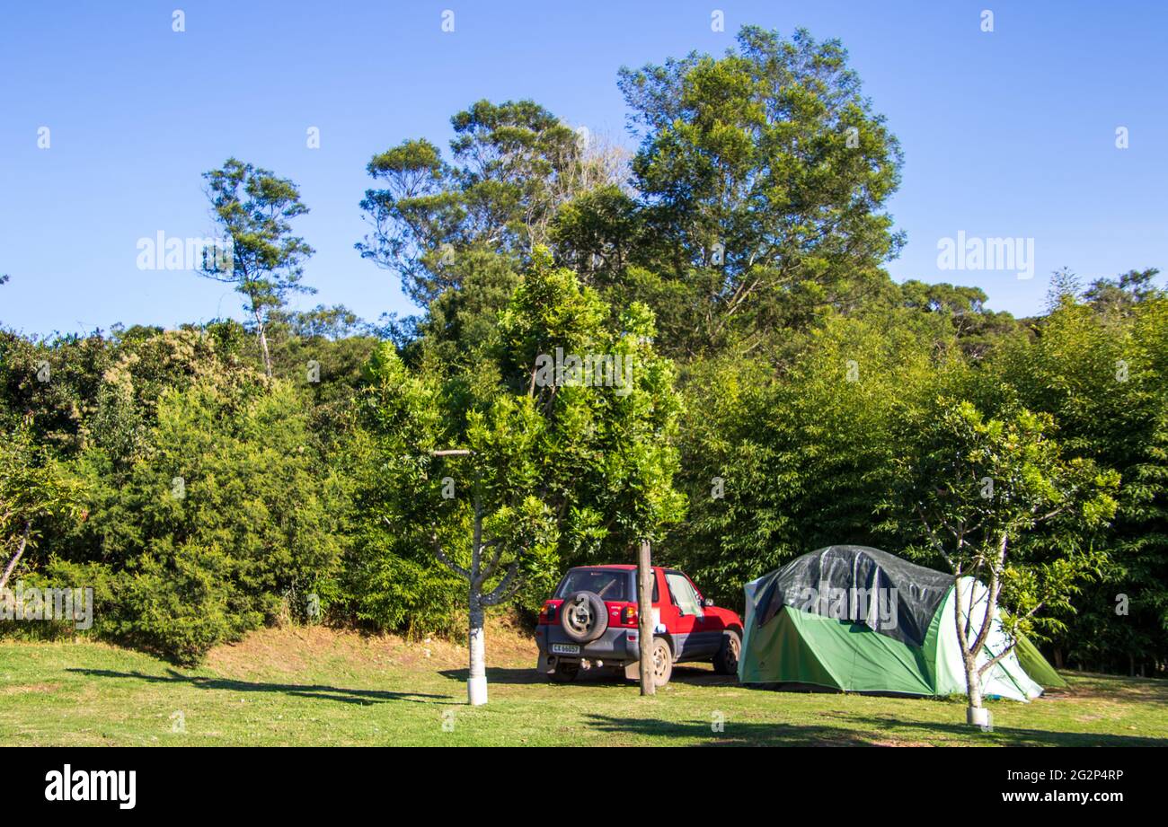 Harkerville, South Africa - tent camping at the Harkerville Forest Lodge on  the Garden Route Stock Photo - Alamy