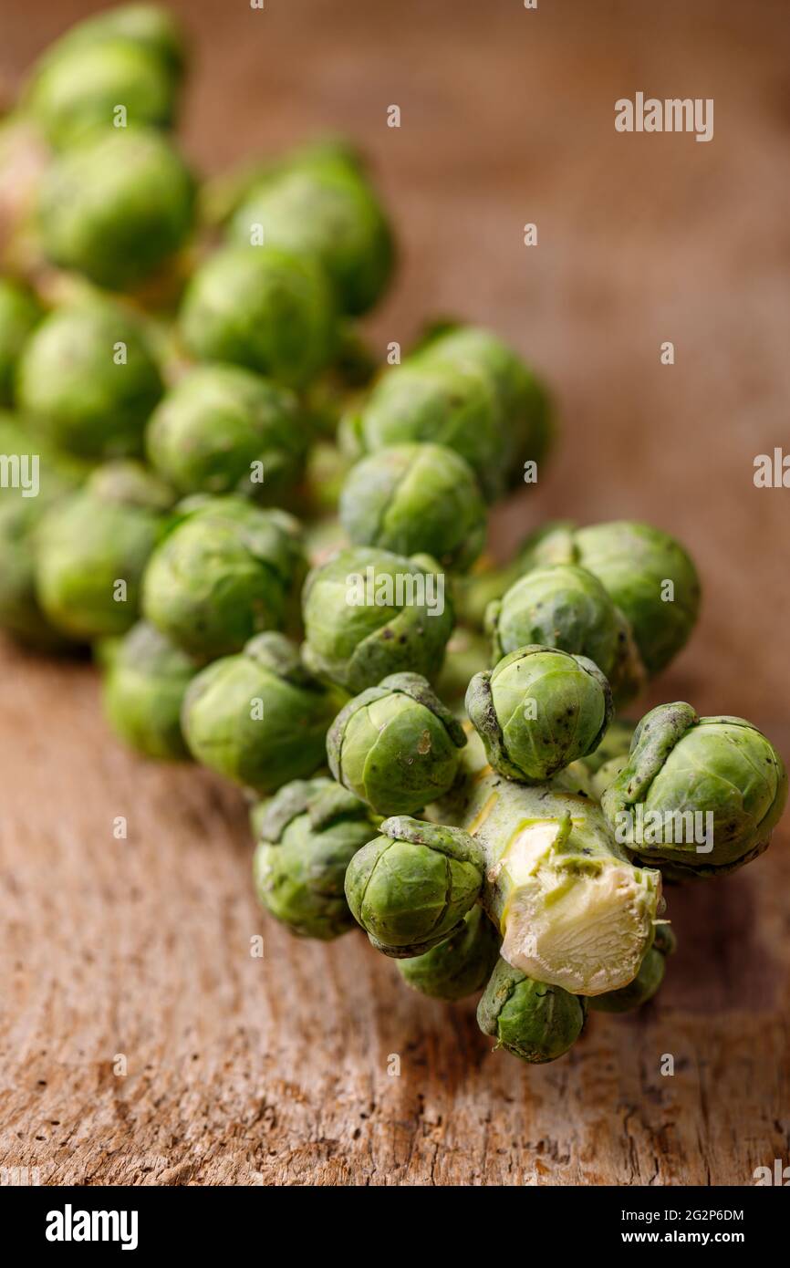 Brussel Sprouts On Stem Plant Hi Res Stock Photography And Images Alamy