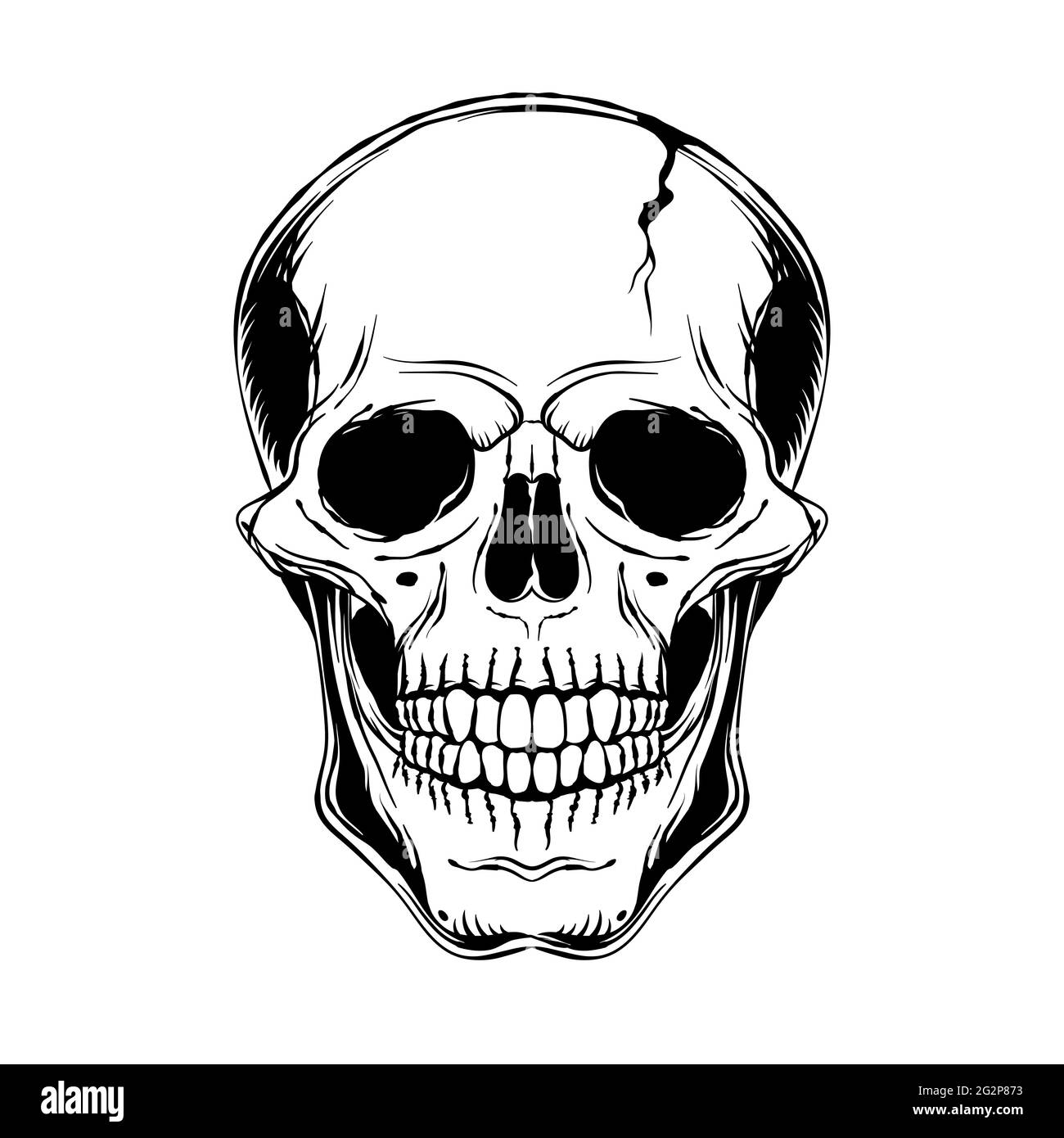 Human skull. Front view. Vector black and white hand drawn illustration. Stock Vector