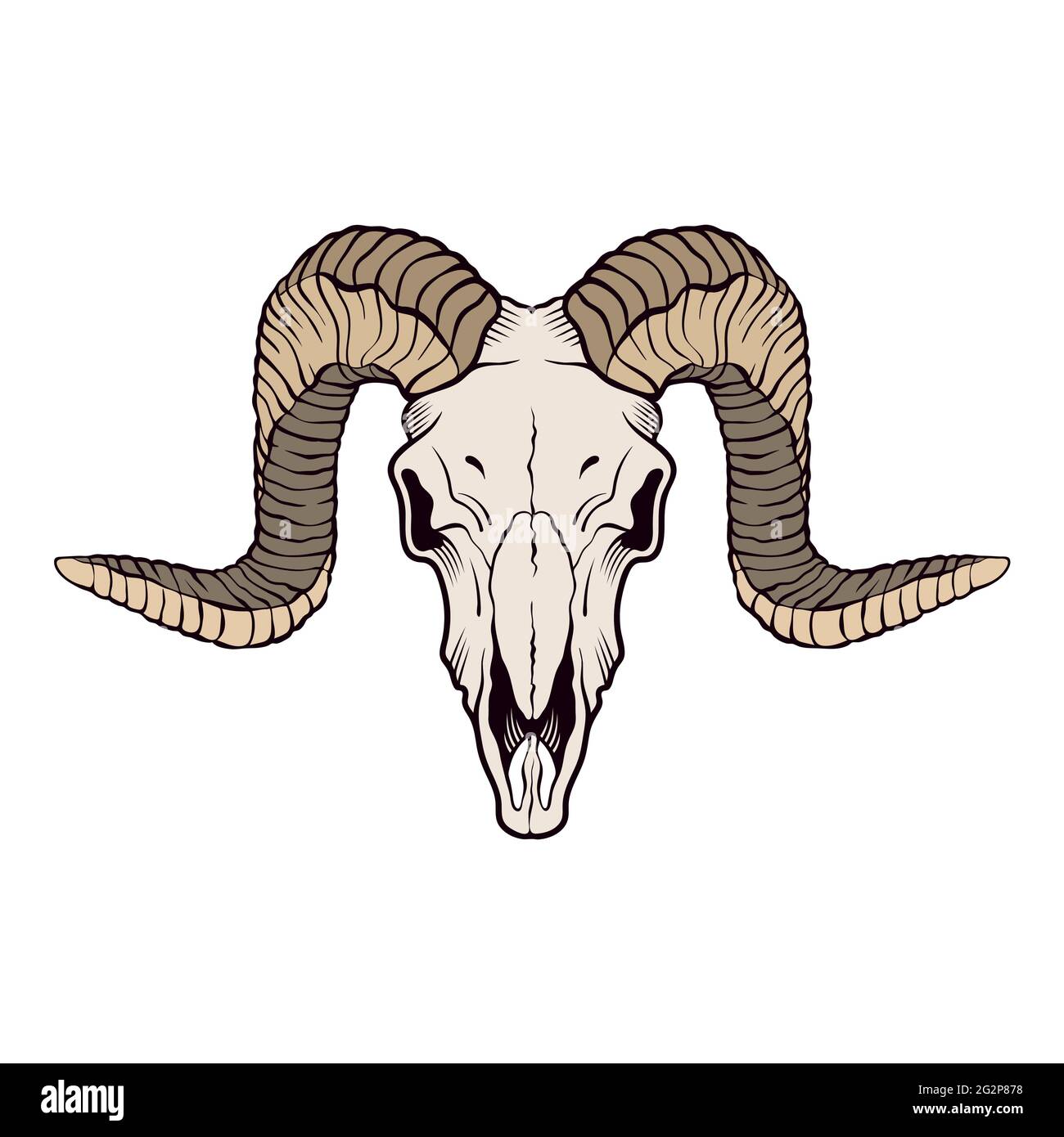 Ram skull isolated on white. Vector illustration Stock Vector Image & Art -  Alamy