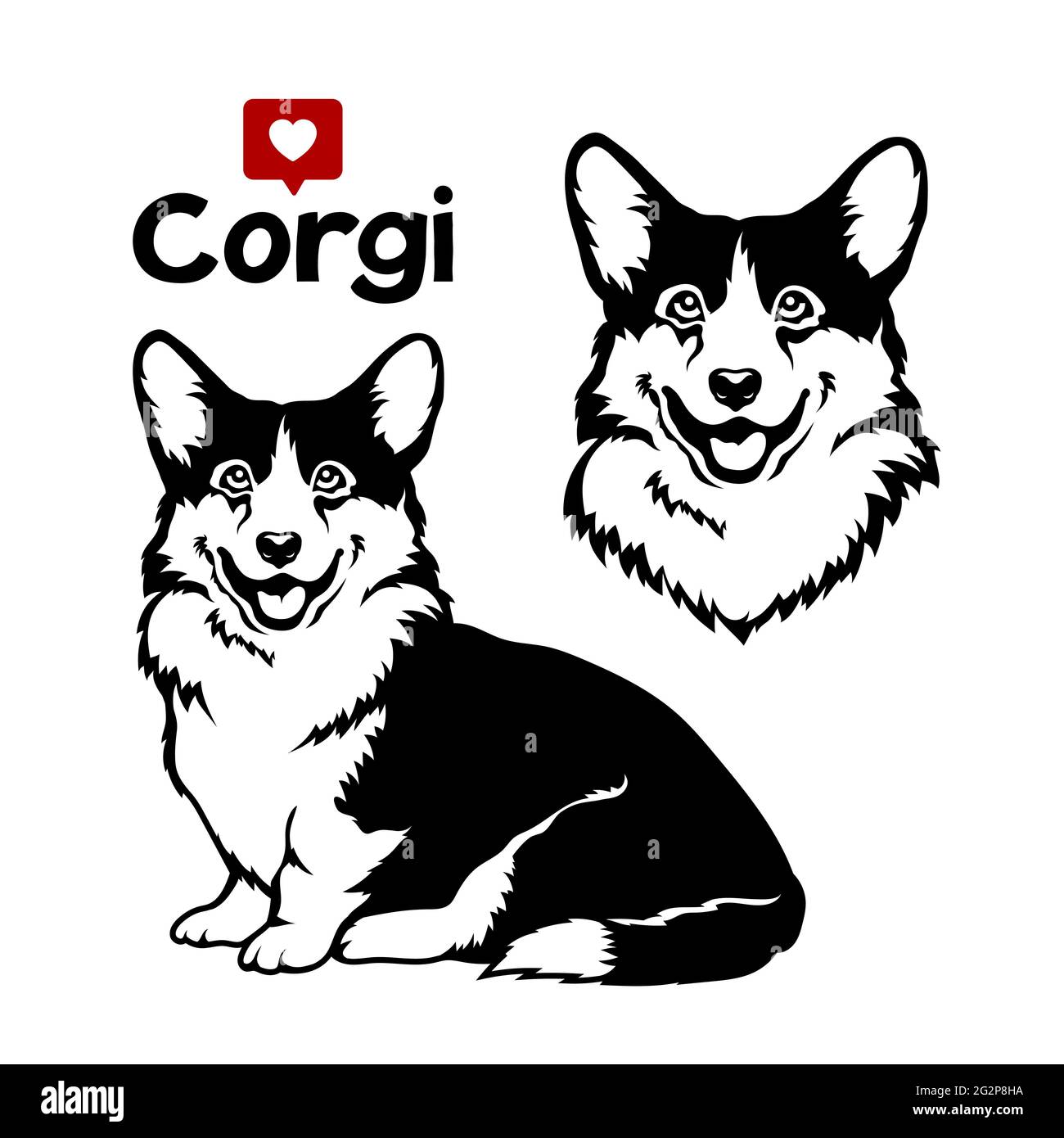 Welsh corgi cardigan dog. Vector illustration on white background. Stock Vector