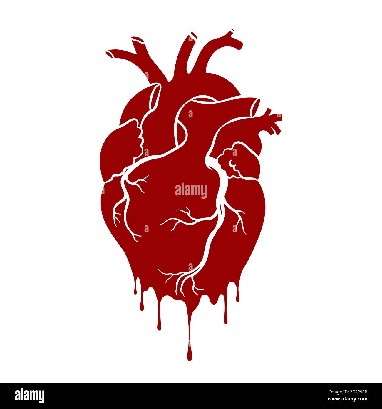 https://c8.alamy.com/comp/2G2P90R/human-heart-anatomical-realistic-dripping-heart-line-art-vector-illustration-2G2P90R.jpg