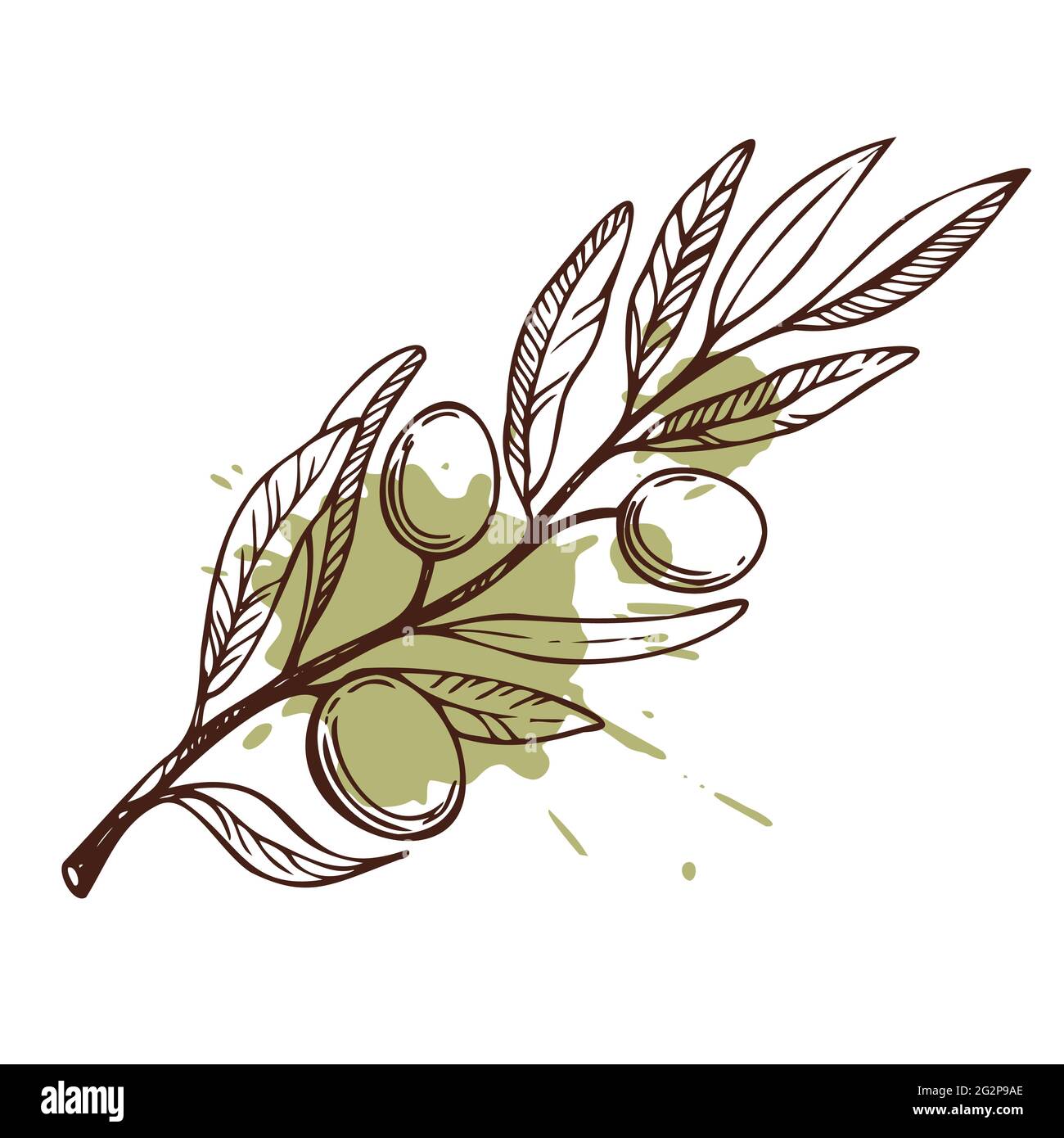 Olive branch. Hand drawn vector scetch. Food illustration. Stock Vector