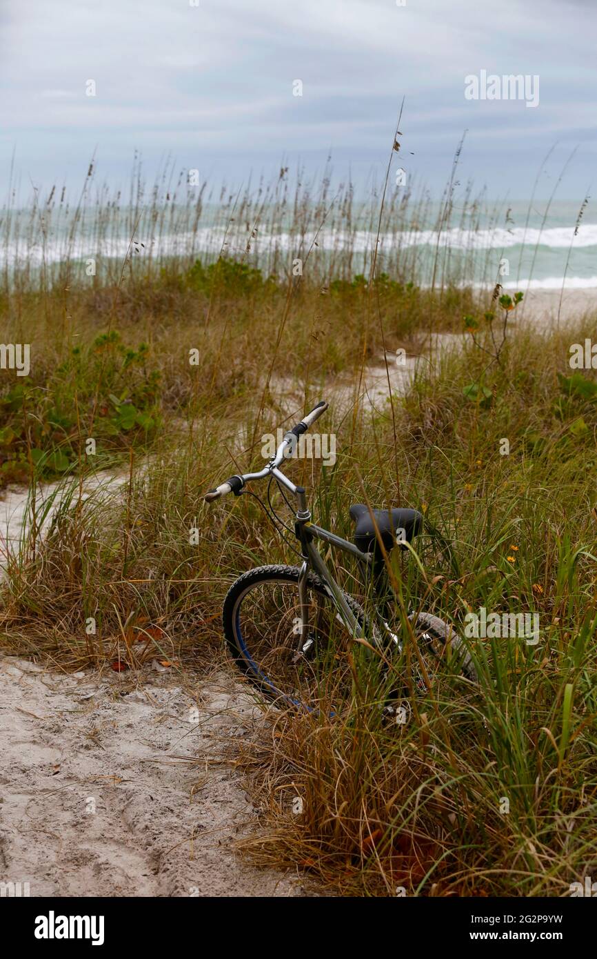 A bicycle is parked along a trail to the beach on Longboat Key in
