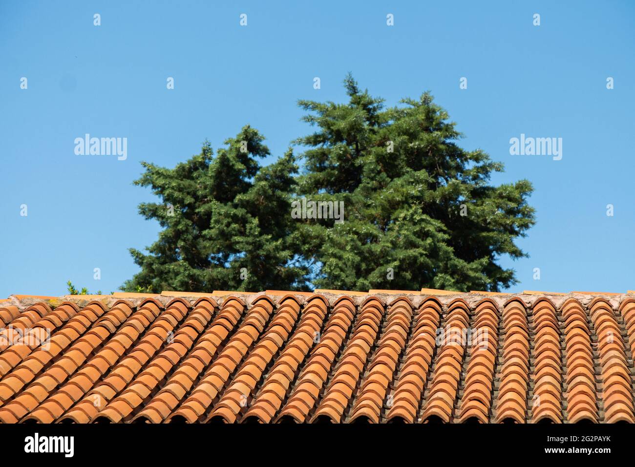 Closeupof roof tiles and green-leafed trees against a clear blue sky Stock Photo