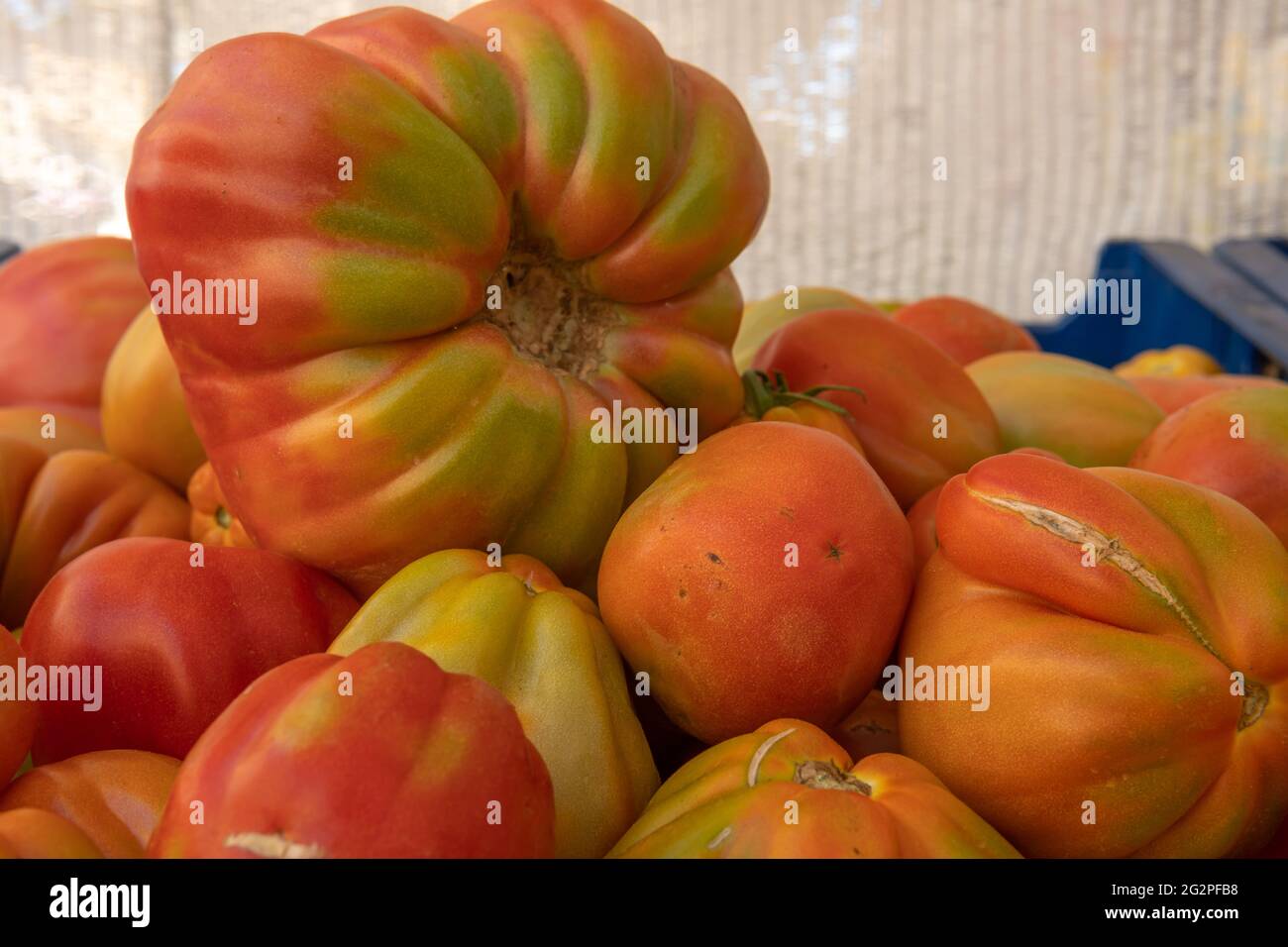 Corazon Fruit