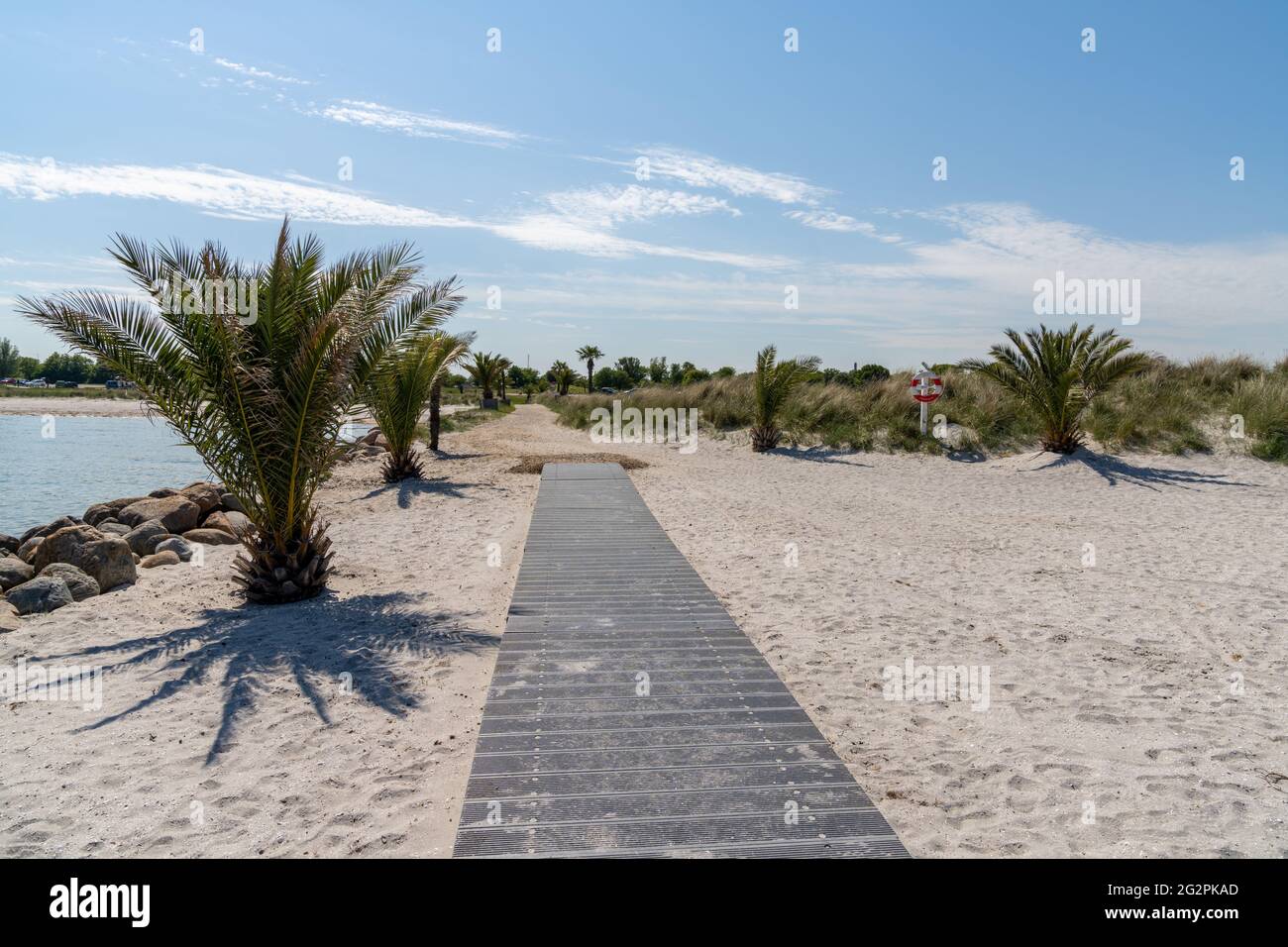 A wooden boardwalk and sandy path leading to the Palm Beach in Frederikshavn  Stock Photo - Alamy