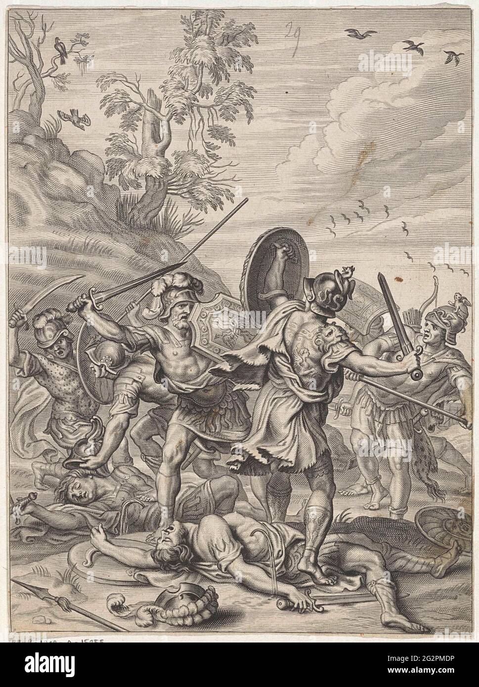 Lacoste arco-íris Clearance