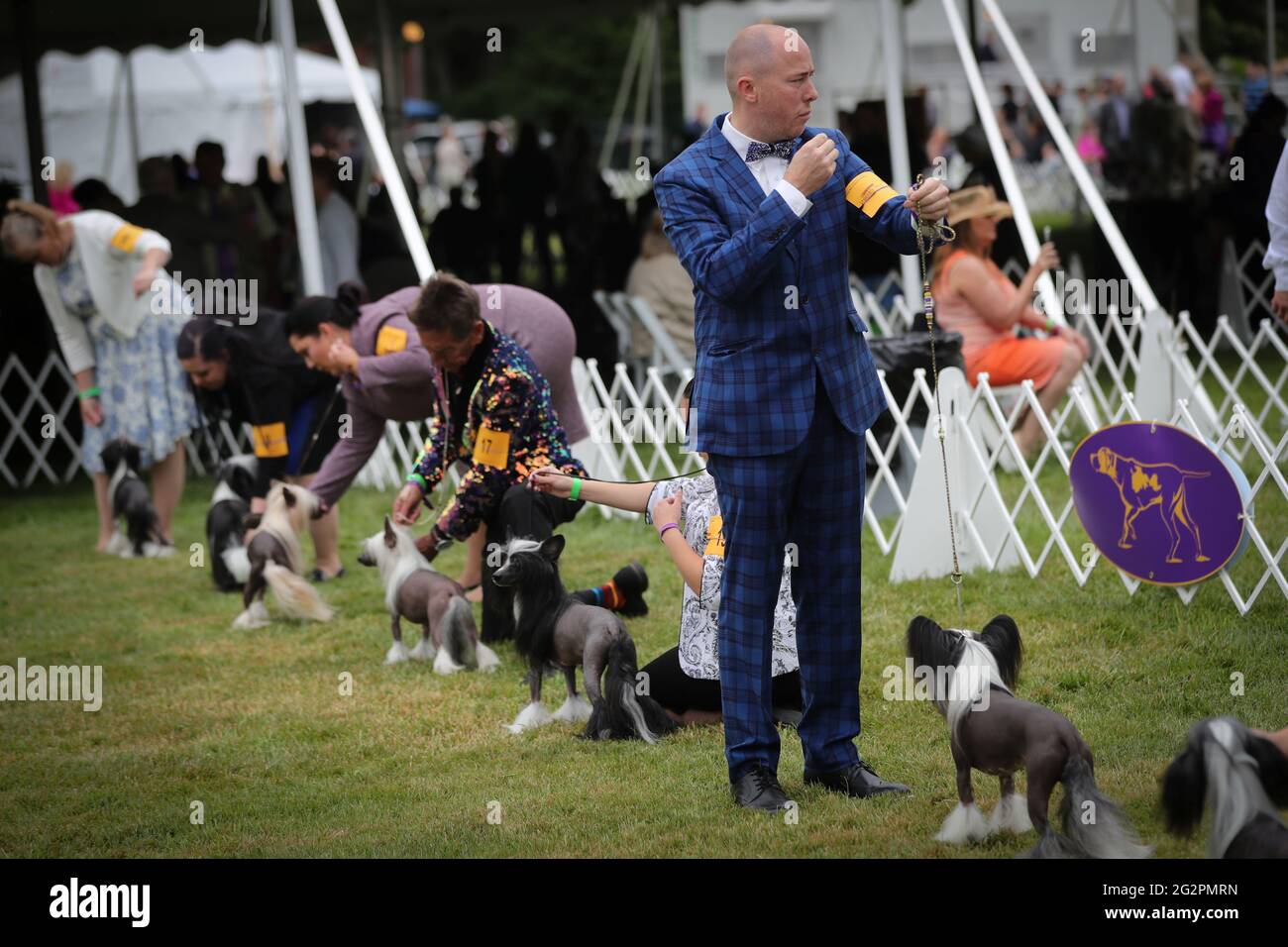 Westminster dog show handlers hires stock photography and images Alamy