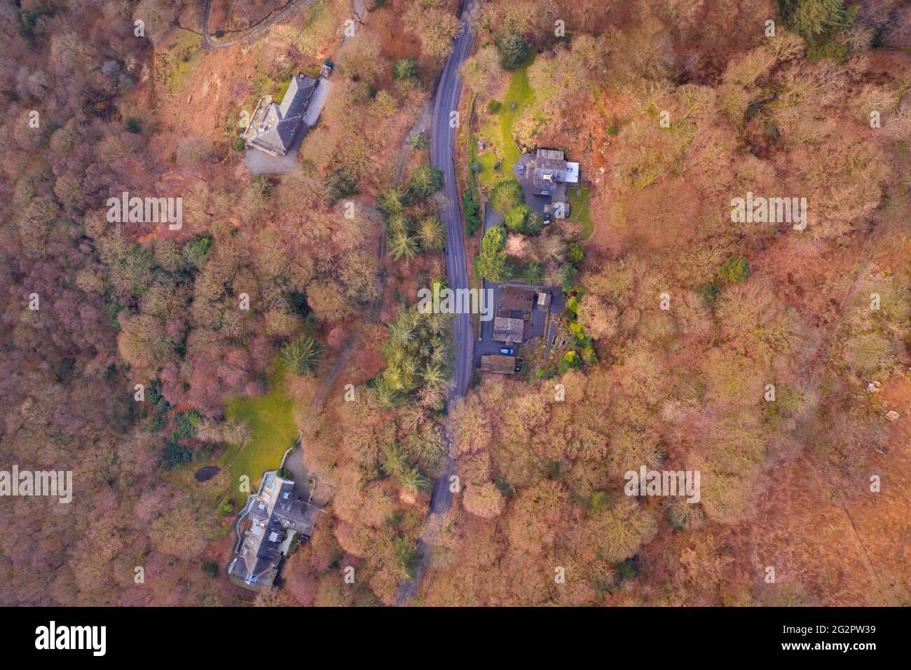 Aerial drone shot of asphalt road leading through woodland. Lake District, UK. Stock Photo