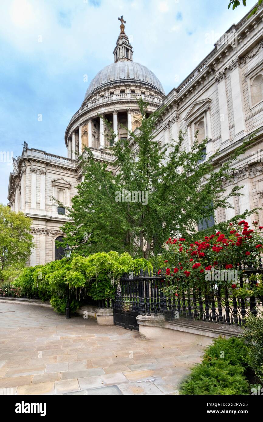 LONDON ENGLAND ST.PAUL'S CATHEDRAL GARDEN AND RED ROSES ON BLACK RAILINGS IN SPRINGTIME Stock Photo