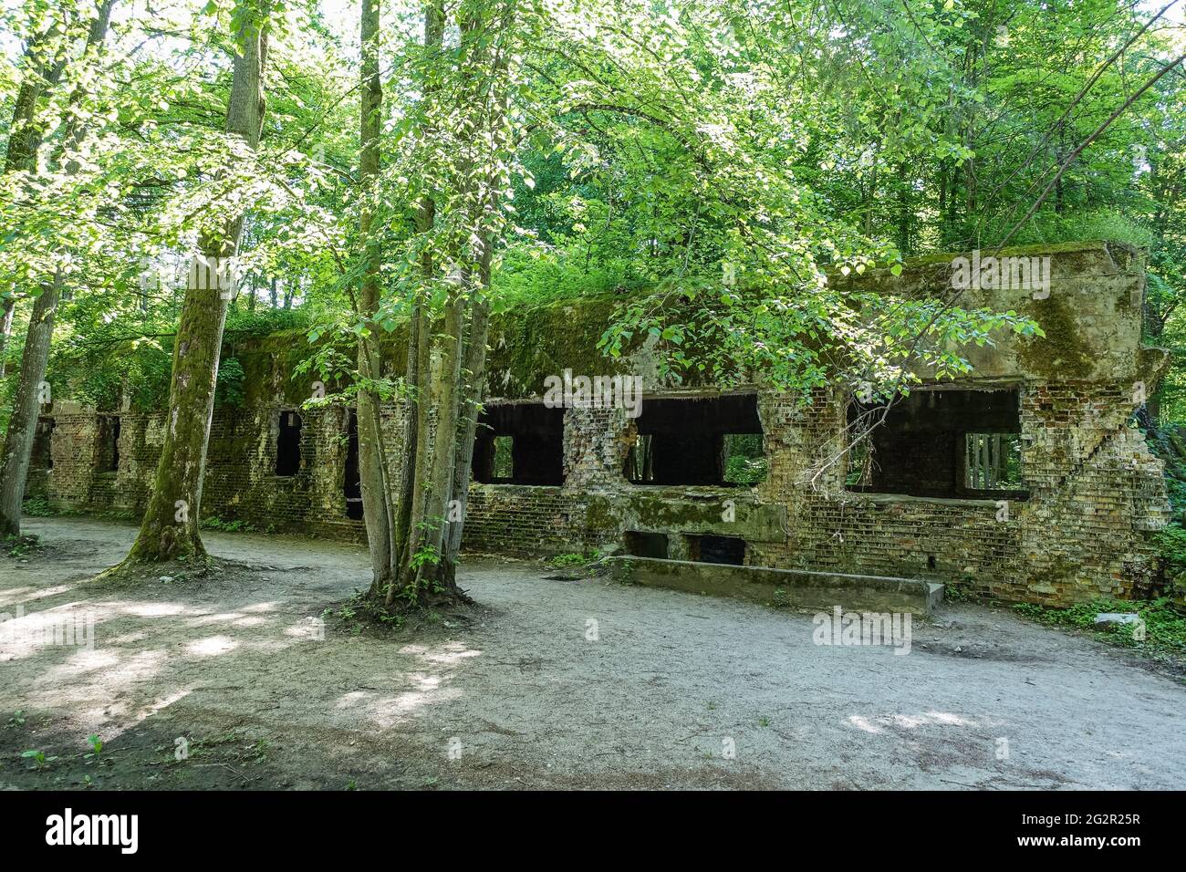 Gierloz, Poland. 2nd June, 2021. People visiting the WWII era Adolf Hitler's quarters hidden in a forest near Gierloz, Poland, are seen on 3 June 2021 r Wolf's Lair (ger. Wolfsschanze) ruins of Adolf Hilter's war headquarters was a hidden town in the woods consisting of 200 buildings: shelters, barracks, 2 airports, a power station, a railway station, air-conditioners, water supplies, heat-generating plants and two teleprinters (Photo by Vadim Pacajev/Sipa USA) Credit: Sipa USA/Alamy Live News Stock Photo