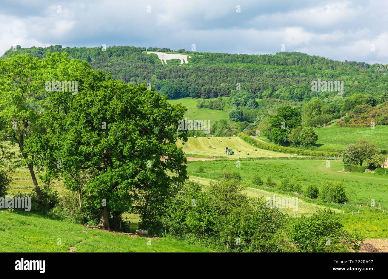 Haymaking in the rural, picturesque village of Kilburn, near Thirsk in North Yorkshire with the landmark hill figure of the White Horse of Kilburn in Stock Photo