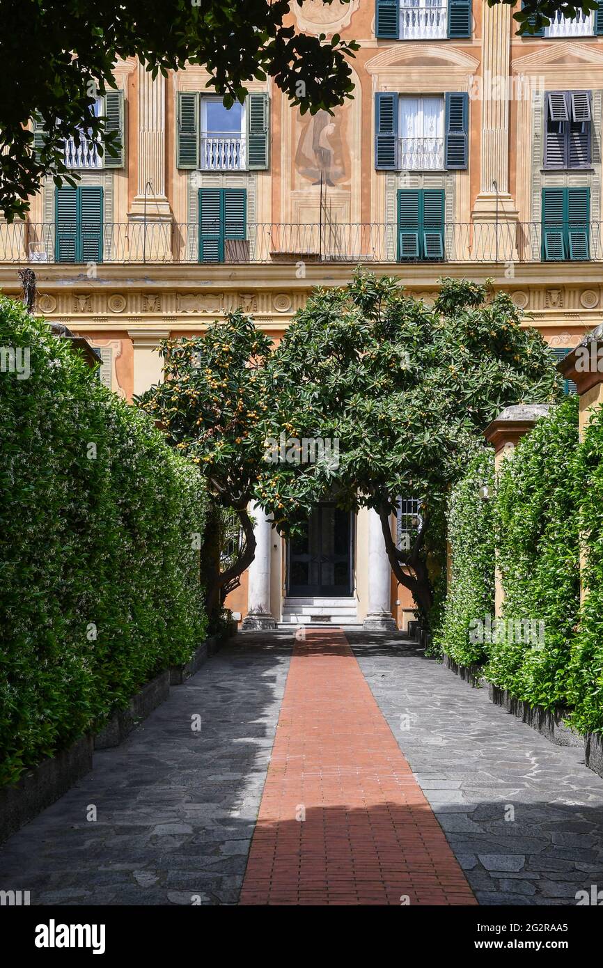 Courtyard and entryway of an old palace with jasmine hedges and medlar trees in the center of Genoa, Liguria, Italy Stock Photo