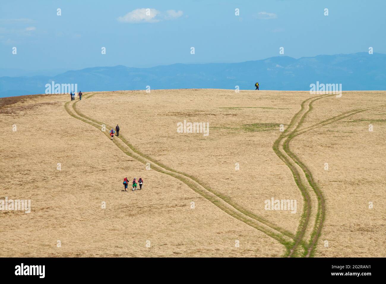 Closeup shot of people walking in the field under a bright sky Stock Photo