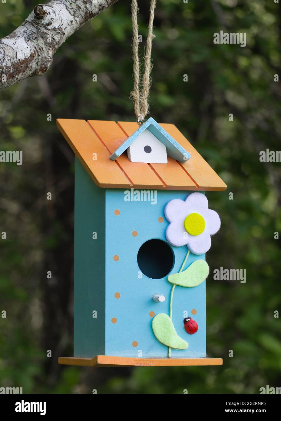 Cute birdhouse hanging from tree branch Stock Photo Alamy
