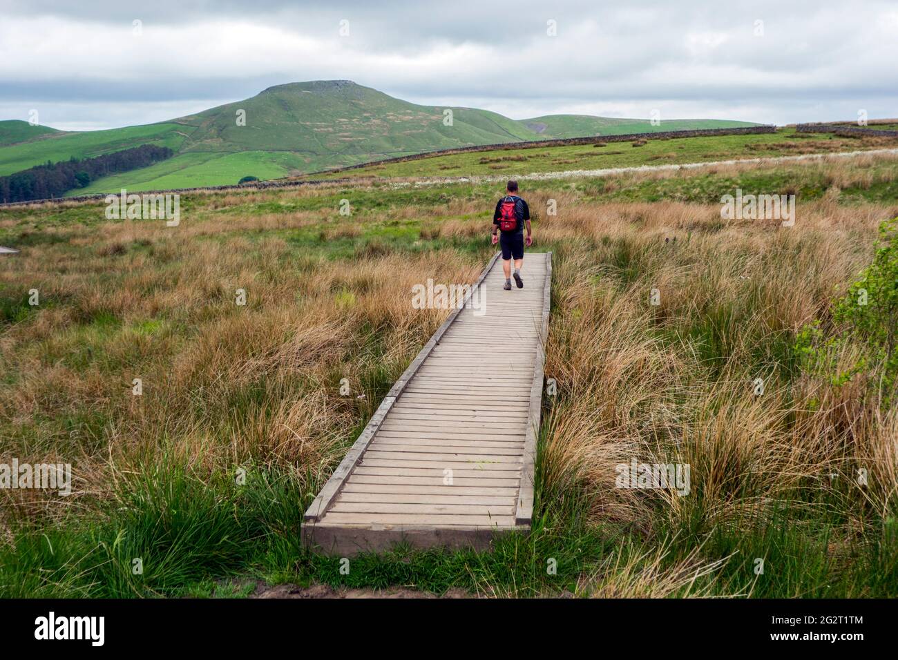 Man walking over duck boards footpath towards the Cheshire mini