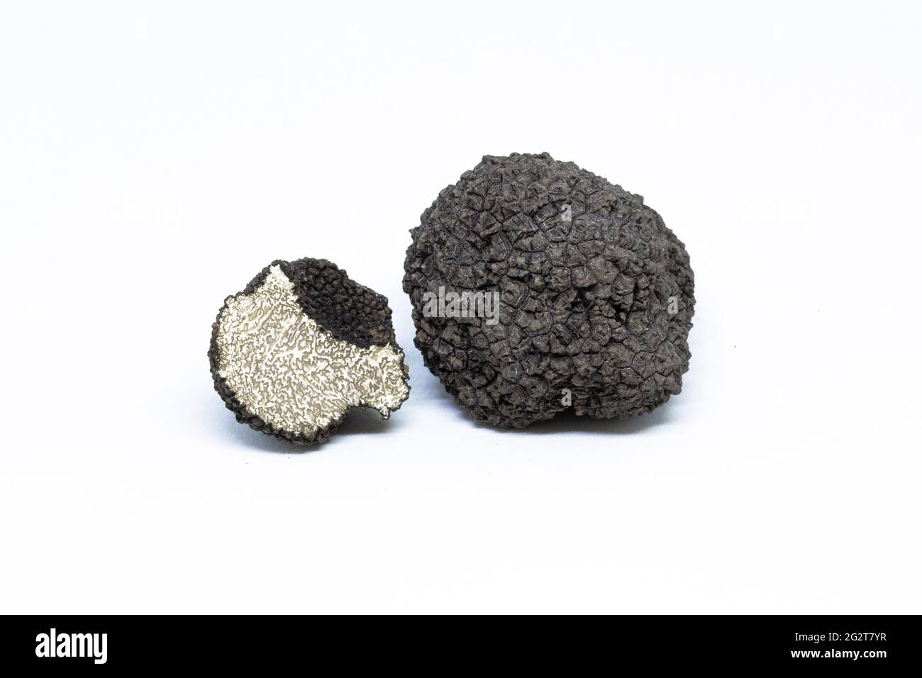 black truffle, tuber aestivum, cut, slice, open, photographed on a white background Stock Photo