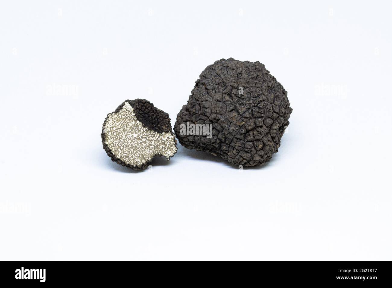 black truffle, tuber aestivum, cut, slice, open, photographed on a white background Stock Photo