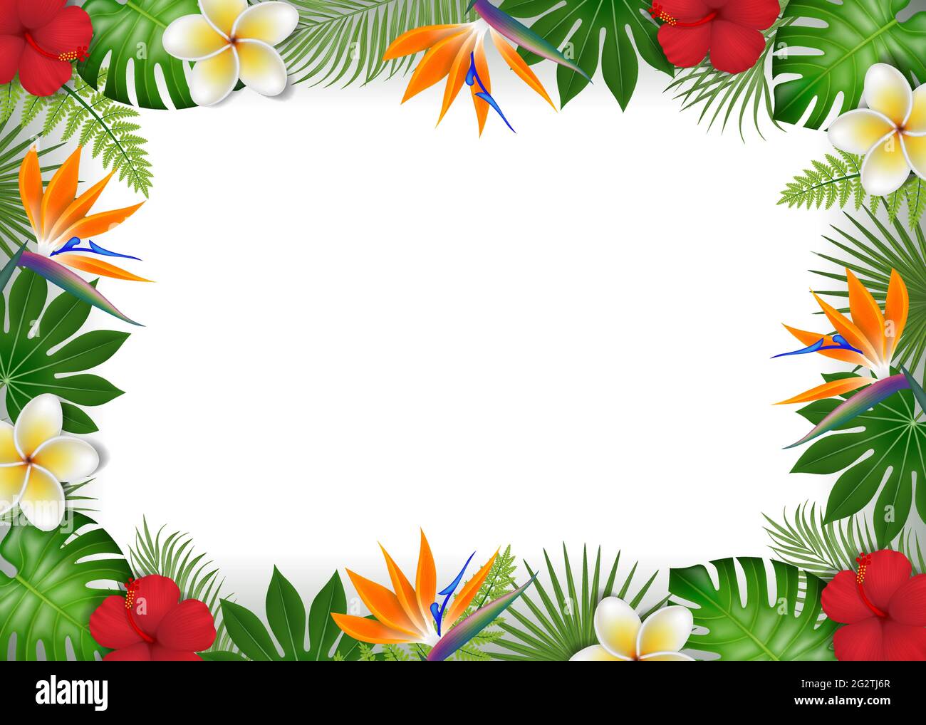 Summer frame with tropical leaves and exotic flowers Stock Vector Image ...
