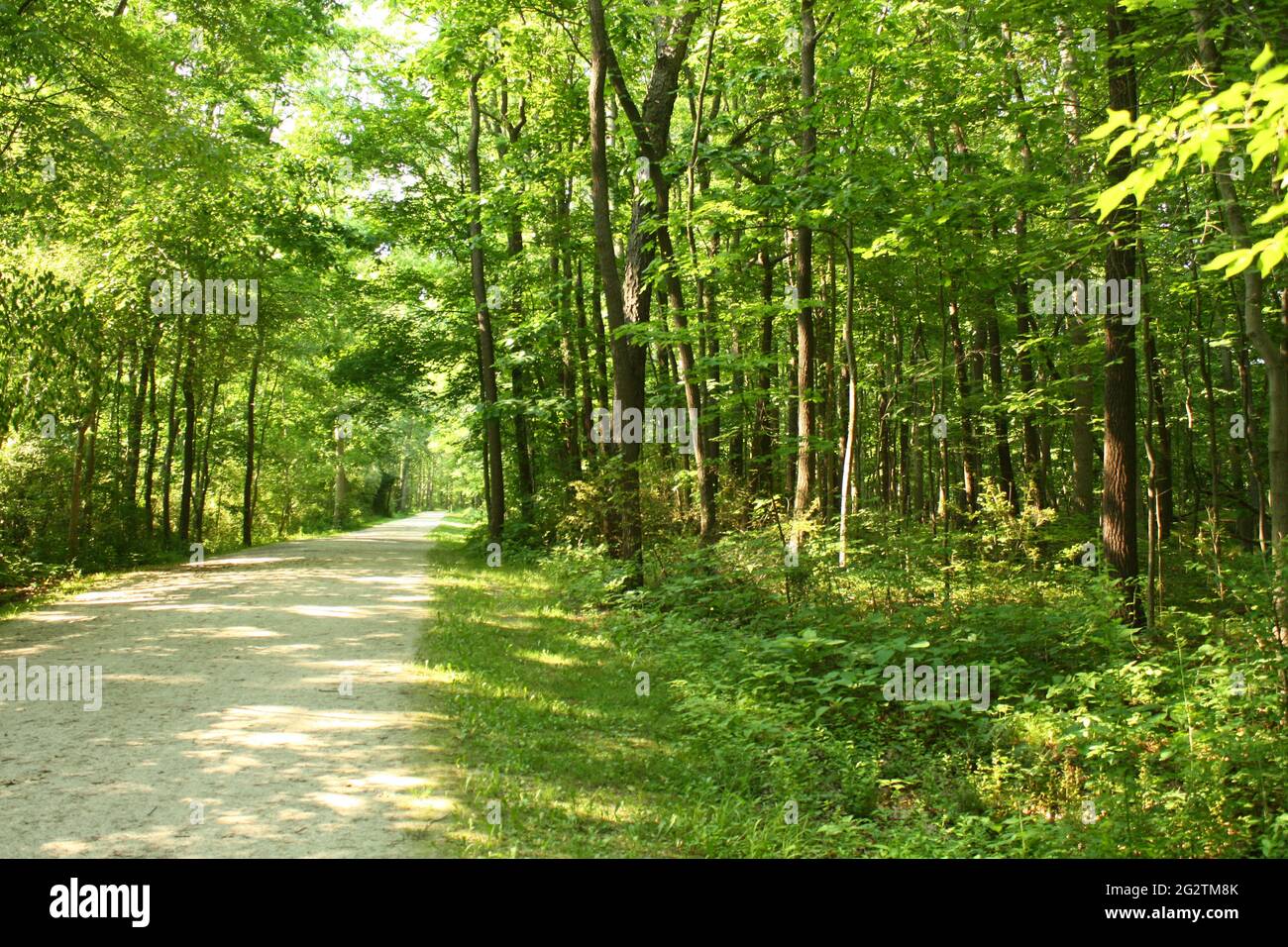 Sand Run Metro Park: A journey though the woods Stock Photo