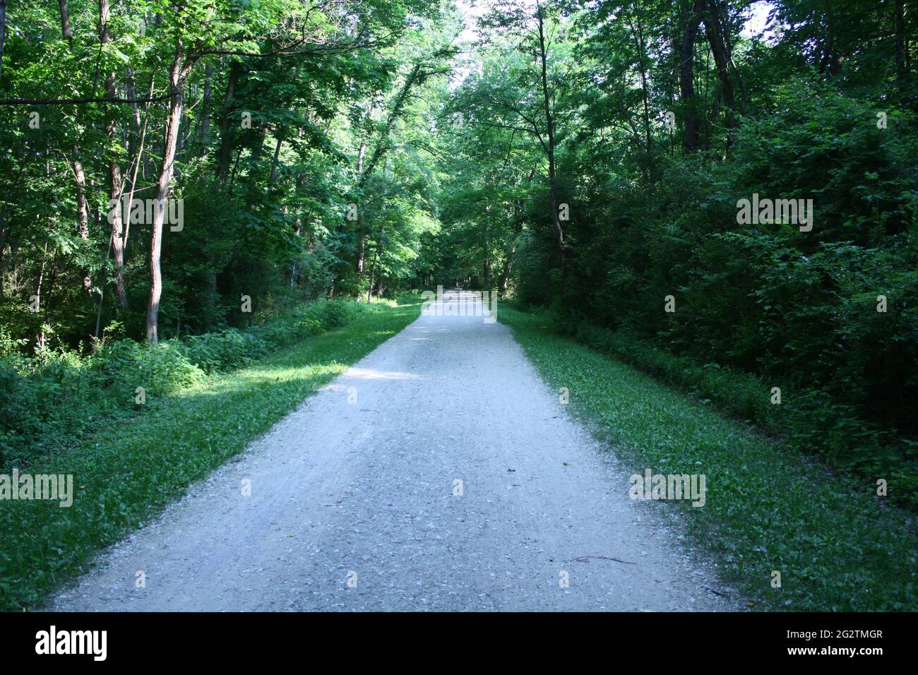 Sand Run Metro Park: A journey though the woods Stock Photo