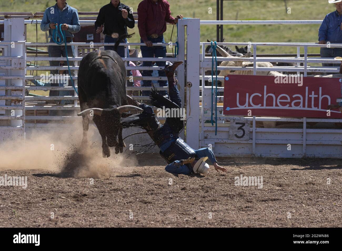 Rodeo events from the 2021 Top of the World Rodeo, elevation 9600 feet