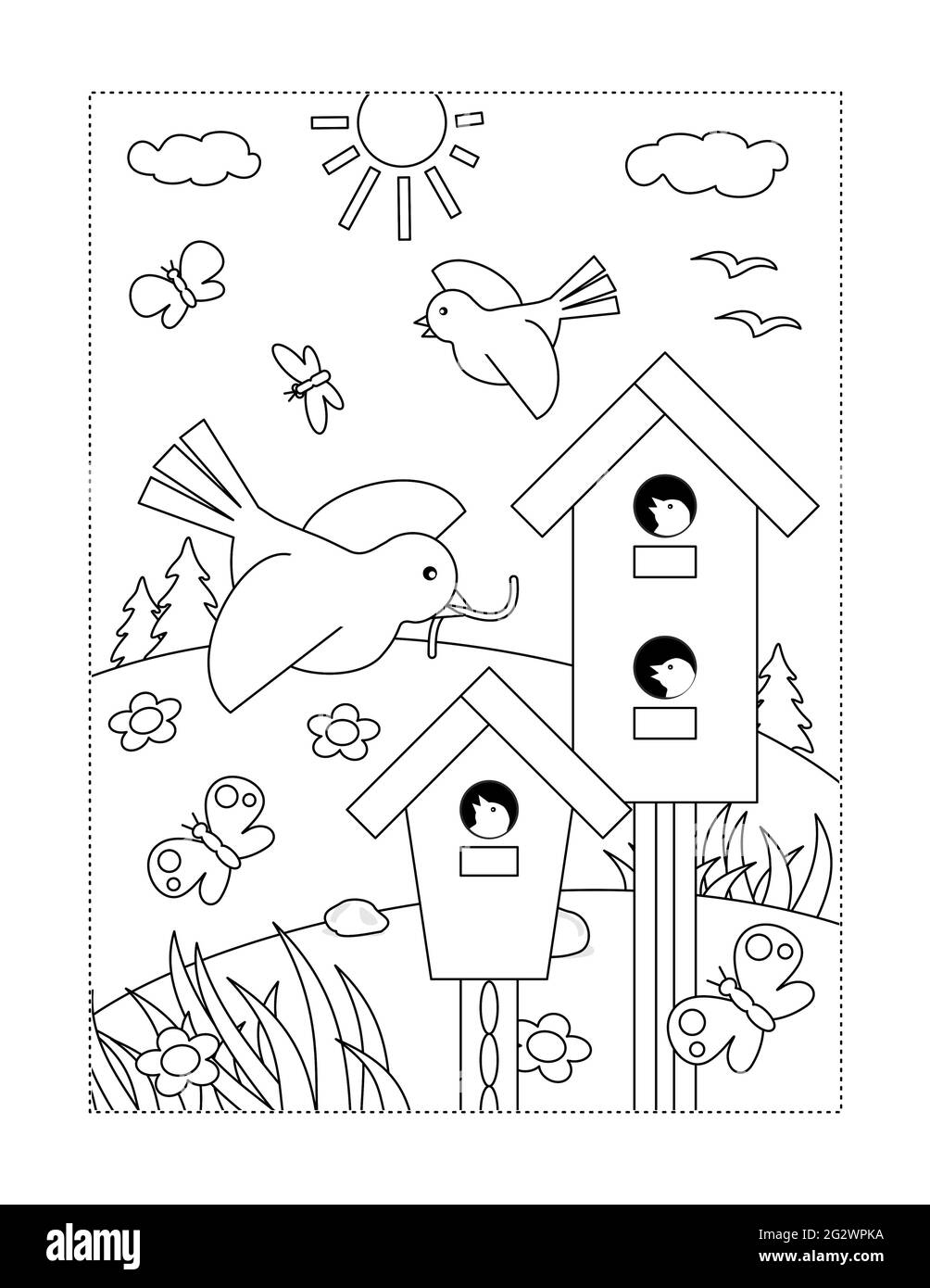 Coloring page with birds, nestlings, birdhouses Stock Photo   Alamy