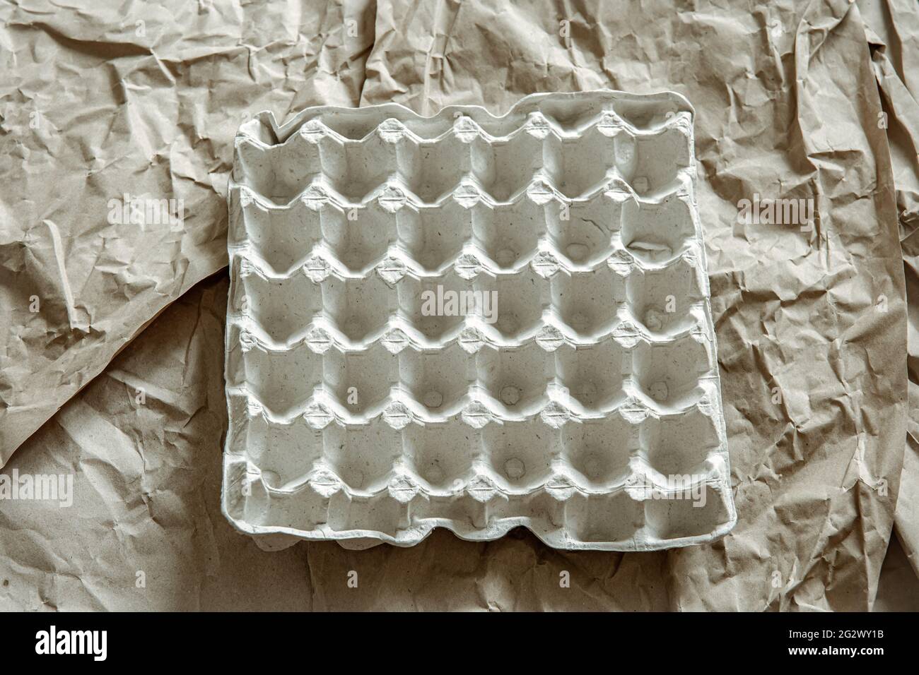 Close up of empty egg tray on background of crumpled paper. The concept