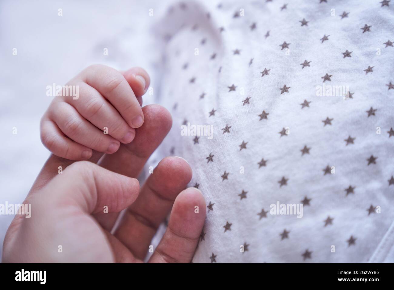 https://c8.alamy.com/comp/2G2WYB6/mothers-hand-holding-baby-hand-the-baby-is-one-month-old-cute-little-hand-with-small-fingers-concept-of-love-and-care-background-high-quality-photo-2G2WYB6.jpg
