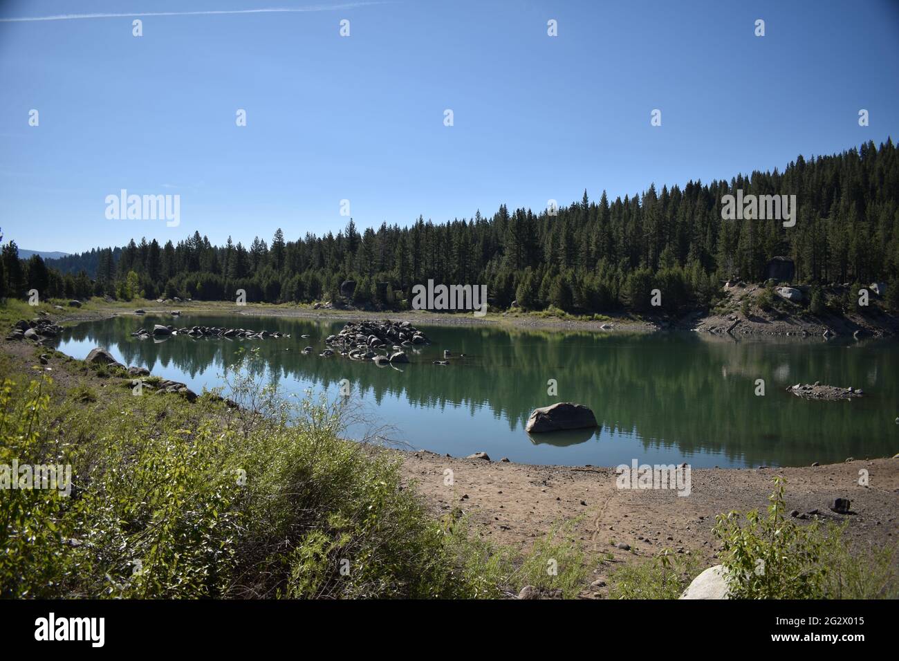 Forest streams hires stock photography and images Alamy