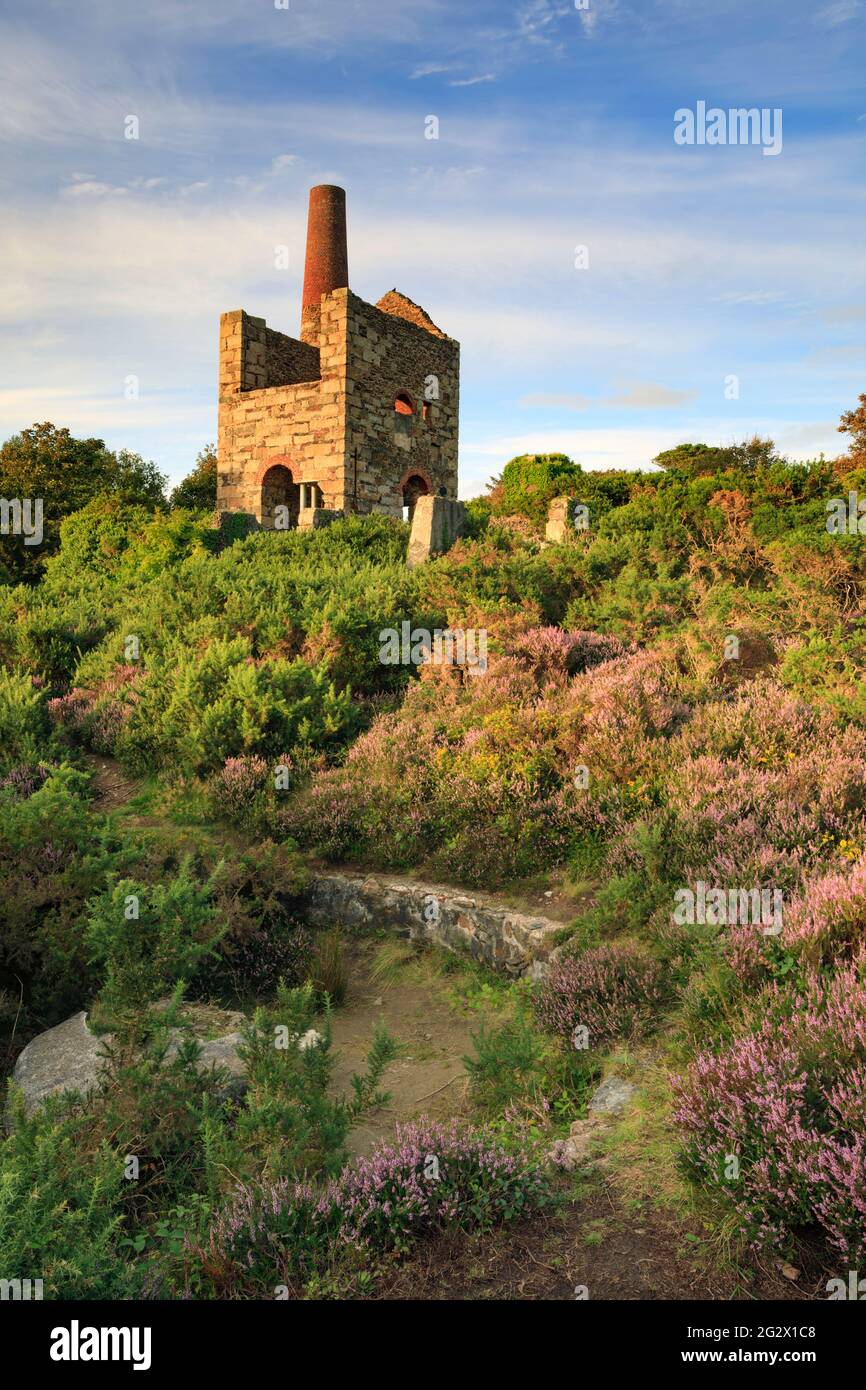 An engine house at Wheal Peevor near Redruth in Cornwall. Stock Photo